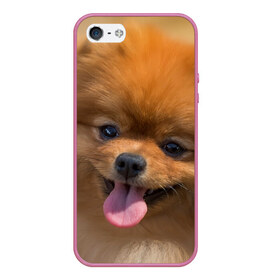 Чехол для iPhone 5/5S матовый с принтом Милашка в Новосибирске, Силикон | Область печати: задняя сторона чехла, без боковых панелей | Тематика изображения на принте: dog | пес | померанский | собака | шпиц | щеночек