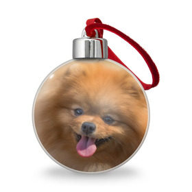 Ёлочный шар с принтом Милашка в Новосибирске, Пластик | Диаметр: 77 мм | Тематика изображения на принте: dog | пес | померанский | собака | шпиц | щеночек