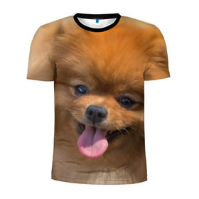 Мужская футболка 3D спортивная с принтом Милашка в Новосибирске, 100% полиэстер с улучшенными характеристиками | приталенный силуэт, круглая горловина, широкие плечи, сужается к линии бедра | dog | пес | померанский | собака | шпиц | щеночек