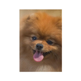 Обложка для паспорта матовая кожа с принтом Милашка в Новосибирске, натуральная матовая кожа | размер 19,3 х 13,7 см; прозрачные пластиковые крепления | Тематика изображения на принте: dog | пес | померанский | собака | шпиц | щеночек