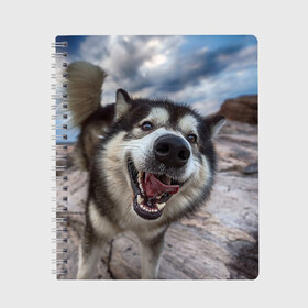 Тетрадь с принтом Smile в Новосибирске, 100% бумага | 48 листов, плотность листов — 60 г/м2, плотность картонной обложки — 250 г/м2. Листы скреплены сбоку удобной пружинной спиралью. Уголки страниц и обложки скругленные. Цвет линий — светло-серый
 | dog | лабрадор | мопс | пес | собака | такса | хаски | щеночек