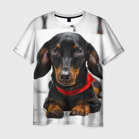 Мужская футболка 3D с принтом Пёсик в Новосибирске, 100% полиэфир | прямой крой, круглый вырез горловины, длина до линии бедер | dog | пес | собака | такса | щеночек