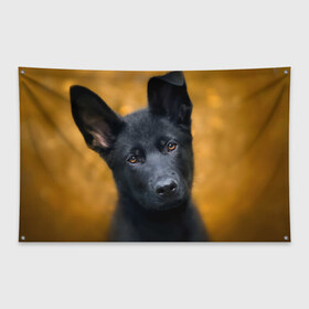Флаг-баннер с принтом Doggy в Новосибирске, 100% полиэстер | размер 67 х 109 см, плотность ткани — 95 г/м2; по краям флага есть четыре люверса для крепления | dog | овчарка | пес | собака | черная овчарка | щеночек