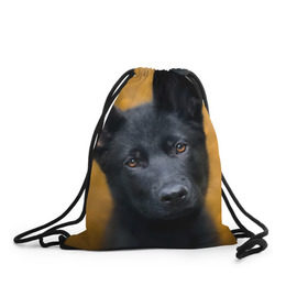 Рюкзак-мешок 3D с принтом Doggy в Новосибирске, 100% полиэстер | плотность ткани — 200 г/м2, размер — 35 х 45 см; лямки — толстые шнурки, застежка на шнуровке, без карманов и подкладки | dog | овчарка | пес | собака | черная овчарка | щеночек