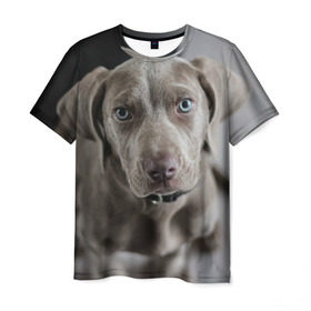 Мужская футболка 3D с принтом Puppy в Новосибирске, 100% полиэфир | прямой крой, круглый вырез горловины, длина до линии бедер | dog | веймаранер | пес | собака | щеночек