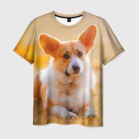 Мужская футболка 3D с принтом Взгляд в Новосибирске, 100% полиэфир | прямой крой, круглый вырез горловины, длина до линии бедер | dog | вельш корги | корги | пес | собака