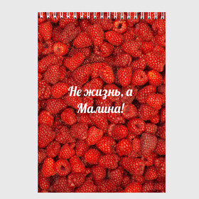 Скетчбук с принтом Не жизнь а Малина! в Новосибирске, 100% бумага
 | 48 листов, плотность листов — 100 г/м2, плотность картонной обложки — 250 г/м2. Листы скреплены сверху удобной пружинной спиралью | Тематика изображения на принте: красный | малина | надпись | текстуры | ягоды