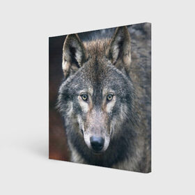 Холст квадратный с принтом Серый волк в Новосибирске, 100% ПВХ |  | аука | бирюк | волк | волчара | волчица | волчок | глаза | животное | животные | зверь | зеленые | койот | лес | млекопитающее | природа | санитар леса | серый | уши | фауна | хищник | черный | шакал