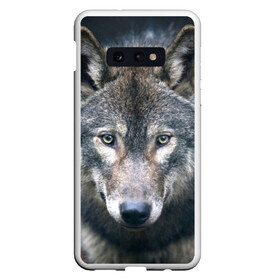 Чехол для Samsung S10E с принтом Серый волк в Новосибирске, Силикон | Область печати: задняя сторона чехла, без боковых панелей | аука | бирюк | волк | волчара | волчица | волчок | глаза | животное | животные | зверь | зеленые | койот | лес | млекопитающее | природа | санитар леса | серый | уши | фауна | хищник | черный | шакал