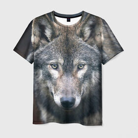 Мужская футболка 3D с принтом Серый волк в Новосибирске, 100% полиэфир | прямой крой, круглый вырез горловины, длина до линии бедер | аука | бирюк | волк | волчара | волчица | волчок | глаза | животное | животные | зверь | зеленые | койот | лес | млекопитающее | природа | санитар леса | серый | уши | фауна | хищник | черный | шакал