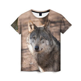 Женская футболка 3D с принтом Серый волк в Новосибирске, 100% полиэфир ( синтетическое хлопкоподобное полотно) | прямой крой, круглый вырез горловины, длина до линии бедер | аука | бирюк | волк | волчара | волчица | волчок | глаза | животное | животные | зверь | зеленые | койот | лес | млекопитающее | природа | санитар леса | серый | уши | фауна | хищник | черный | шакал