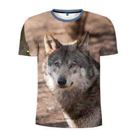 Мужская футболка 3D спортивная с принтом Серый волк в Новосибирске, 100% полиэстер с улучшенными характеристиками | приталенный силуэт, круглая горловина, широкие плечи, сужается к линии бедра | аука | бирюк | волк | волчара | волчица | волчок | глаза | животное | животные | зверь | зеленые | койот | лес | млекопитающее | природа | санитар леса | серый | уши | фауна | хищник | черный | шакал