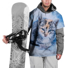 Накидка на куртку 3D с принтом Трехцветный котенок зимой в Новосибирске, 100% полиэстер |  | грустный | добрый | животное | киса | киска кися | кот | котенок | котэ | кошка | красивый | лапа | лапка | ласковый | милый | моська | мурлыка | прикольный | смешной | унылый | усатый | шерсть