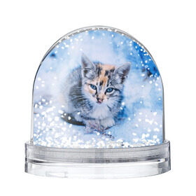 Водяной шар с принтом Трехцветный котенок зимой в Новосибирске, Пластик | Изображение внутри шара печатается на глянцевой фотобумаге с двух сторон | грустный | добрый | животное | киса | киска кися | кот | котенок | котэ | кошка | красивый | лапа | лапка | ласковый | милый | моська | мурлыка | прикольный | смешной | унылый | усатый | шерсть