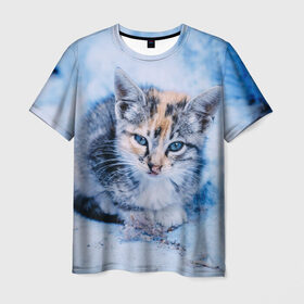 Мужская футболка 3D с принтом Трехцветный котенок зимой в Новосибирске, 100% полиэфир | прямой крой, круглый вырез горловины, длина до линии бедер | грустный | добрый | животное | киса | киска кися | кот | котенок | котэ | кошка | красивый | лапа | лапка | ласковый | милый | моська | мурлыка | прикольный | смешной | унылый | усатый | шерсть