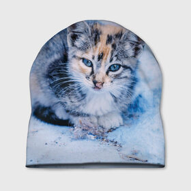 Шапка 3D с принтом Трехцветный котенок зимой в Новосибирске, 100% полиэстер | универсальный размер, печать по всей поверхности изделия | грустный | добрый | животное | киса | киска кися | кот | котенок | котэ | кошка | красивый | лапа | лапка | ласковый | милый | моська | мурлыка | прикольный | смешной | унылый | усатый | шерсть