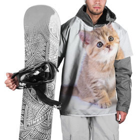 Накидка на куртку 3D с принтом Любопытный котенок в Новосибирске, 100% полиэстер |  | грустный | добрый | животное | киса | киска кися | кот | котенок | котэ | кошка | красивый | лапа | лапка | ласковый | милый | моська | мурлыка | прикольный | смешной | унылый | усатый | шерсть