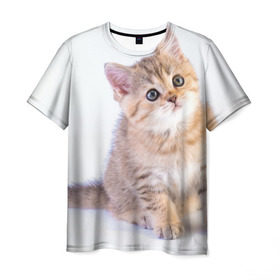 Мужская футболка 3D с принтом Любопытный котенок в Новосибирске, 100% полиэфир | прямой крой, круглый вырез горловины, длина до линии бедер | грустный | добрый | животное | киса | киска кися | кот | котенок | котэ | кошка | красивый | лапа | лапка | ласковый | милый | моська | мурлыка | прикольный | смешной | унылый | усатый | шерсть