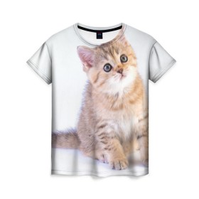 Женская футболка 3D с принтом Любопытный котенок в Новосибирске, 100% полиэфир ( синтетическое хлопкоподобное полотно) | прямой крой, круглый вырез горловины, длина до линии бедер | грустный | добрый | животное | киса | киска кися | кот | котенок | котэ | кошка | красивый | лапа | лапка | ласковый | милый | моська | мурлыка | прикольный | смешной | унылый | усатый | шерсть