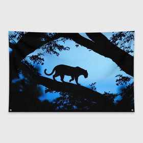 Флаг-баннер с принтом Чёрная пантера в Новосибирске, 100% полиэстер | размер 67 х 109 см, плотность ткани — 95 г/м2; по краям флага есть четыре люверса для крепления | африка | вечер | дерево | дикая кошка | закат | леопард | сафари | ягуар