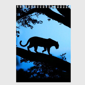 Скетчбук с принтом Чёрная пантера в Новосибирске, 100% бумага
 | 48 листов, плотность листов — 100 г/м2, плотность картонной обложки — 250 г/м2. Листы скреплены сверху удобной пружинной спиралью | африка | вечер | дерево | дикая кошка | закат | леопард | сафари | ягуар
