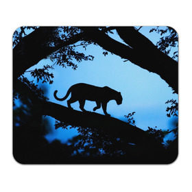 Коврик прямоугольный с принтом Чёрная пантера в Новосибирске, натуральный каучук | размер 230 х 185 мм; запечатка лицевой стороны | Тематика изображения на принте: африка | вечер | дерево | дикая кошка | закат | леопард | сафари | ягуар