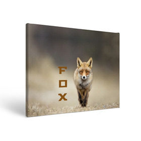 Холст прямоугольный с принтом Рыжий лис (fox) в Новосибирске, 100% ПВХ |  | Тематика изображения на принте: fox | животное | зверь | красивая | лес | лис | лиса | лисенок | лисица | лисичка | мех | патрикеевна | песец | плутовка | прикольная | природа | рыжая | рыжий цвет | сказка | хвост | хитрая | хищник