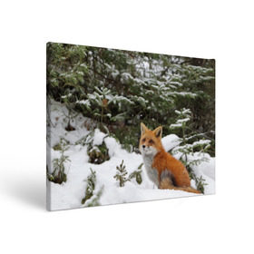 Холст прямоугольный с принтом Лиса в зимнем лесу в Новосибирске, 100% ПВХ |  | Тематика изображения на принте: fox | животное | зверь | красивая | лес | лис | лиса | лисенок | лисица | лисичка | мех | патрикеевна | песец | плутовка | прикольная | природа | рыжая | рыжий цвет | сказка | хвост | хитрая | хищник