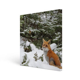 Холст квадратный с принтом Лиса в зимнем лесу в Новосибирске, 100% ПВХ |  | fox | животное | зверь | красивая | лес | лис | лиса | лисенок | лисица | лисичка | мех | патрикеевна | песец | плутовка | прикольная | природа | рыжая | рыжий цвет | сказка | хвост | хитрая | хищник