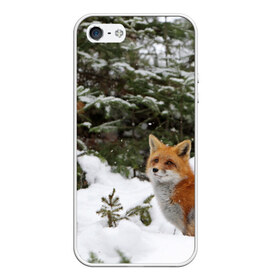 Чехол для iPhone 5/5S матовый с принтом Лиса в зимнем лесу в Новосибирске, Силикон | Область печати: задняя сторона чехла, без боковых панелей | Тематика изображения на принте: fox | животное | зверь | красивая | лес | лис | лиса | лисенок | лисица | лисичка | мех | патрикеевна | песец | плутовка | прикольная | природа | рыжая | рыжий цвет | сказка | хвост | хитрая | хищник