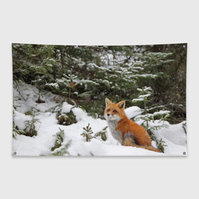Флаг-баннер с принтом Лиса в зимнем лесу в Новосибирске, 100% полиэстер | размер 67 х 109 см, плотность ткани — 95 г/м2; по краям флага есть четыре люверса для крепления | fox | животное | зверь | красивая | лес | лис | лиса | лисенок | лисица | лисичка | мех | патрикеевна | песец | плутовка | прикольная | природа | рыжая | рыжий цвет | сказка | хвост | хитрая | хищник