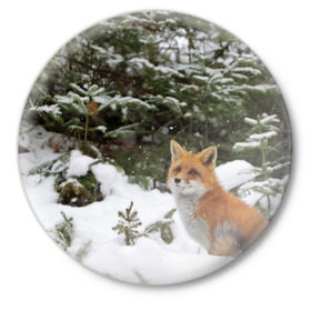 Значок с принтом Лиса в зимнем лесу в Новосибирске,  металл | круглая форма, металлическая застежка в виде булавки | fox | животное | зверь | красивая | лес | лис | лиса | лисенок | лисица | лисичка | мех | патрикеевна | песец | плутовка | прикольная | природа | рыжая | рыжий цвет | сказка | хвост | хитрая | хищник