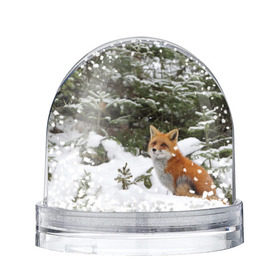 Снежный шар с принтом Лиса в зимнем лесу в Новосибирске, Пластик | Изображение внутри шара печатается на глянцевой фотобумаге с двух сторон | Тематика изображения на принте: fox | животное | зверь | красивая | лес | лис | лиса | лисенок | лисица | лисичка | мех | патрикеевна | песец | плутовка | прикольная | природа | рыжая | рыжий цвет | сказка | хвост | хитрая | хищник