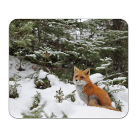 Коврик прямоугольный с принтом Лиса в зимнем лесу в Новосибирске, натуральный каучук | размер 230 х 185 мм; запечатка лицевой стороны | Тематика изображения на принте: fox | животное | зверь | красивая | лес | лис | лиса | лисенок | лисица | лисичка | мех | патрикеевна | песец | плутовка | прикольная | природа | рыжая | рыжий цвет | сказка | хвост | хитрая | хищник