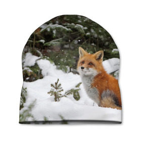 Шапка 3D с принтом Лиса в зимнем лесу в Новосибирске, 100% полиэстер | универсальный размер, печать по всей поверхности изделия | Тематика изображения на принте: fox | животное | зверь | красивая | лес | лис | лиса | лисенок | лисица | лисичка | мех | патрикеевна | песец | плутовка | прикольная | природа | рыжая | рыжий цвет | сказка | хвост | хитрая | хищник