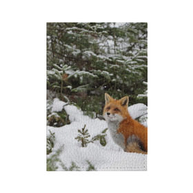 Обложка для паспорта матовая кожа с принтом Лиса в зимнем лесу в Новосибирске, натуральная матовая кожа | размер 19,3 х 13,7 см; прозрачные пластиковые крепления | fox | животное | зверь | красивая | лес | лис | лиса | лисенок | лисица | лисичка | мех | патрикеевна | песец | плутовка | прикольная | природа | рыжая | рыжий цвет | сказка | хвост | хитрая | хищник