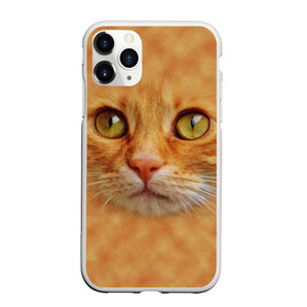Чехол для iPhone 11 Pro матовый с принтом Котик в Новосибирске, Силикон |  | животные | кот | котенок | котик | кошка