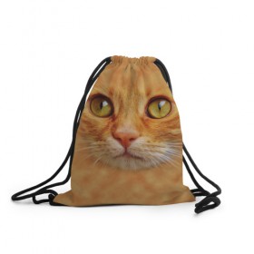 Рюкзак-мешок 3D с принтом Котик в Новосибирске, 100% полиэстер | плотность ткани — 200 г/м2, размер — 35 х 45 см; лямки — толстые шнурки, застежка на шнуровке, без карманов и подкладки | животные | кот | котенок | котик | кошка