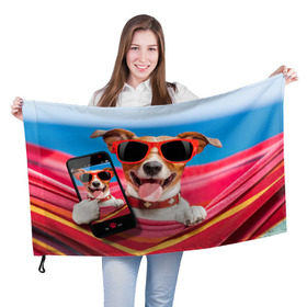 Флаг 3D с принтом Джек рассел - в гамаке в Новосибирске, 100% полиэстер | плотность ткани — 95 г/м2, размер — 67 х 109 см. Принт наносится с одной стороны | волкодав | дворняжка | джек | джек рассел | домашние животные | любимец | мопс | овчарка | пес | песик | питомец | рассел | сенбернар | собака | собачка
