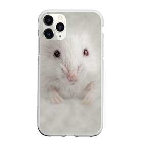 Чехол для iPhone 11 Pro матовый с принтом Крыса в Новосибирске, Силикон |  | животные | крыса | мордочка | мышка | мышь | природа