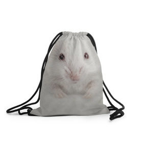 Рюкзак-мешок 3D с принтом Крыса в Новосибирске, 100% полиэстер | плотность ткани — 200 г/м2, размер — 35 х 45 см; лямки — толстые шнурки, застежка на шнуровке, без карманов и подкладки | животные | крыса | мордочка | мышка | мышь | природа