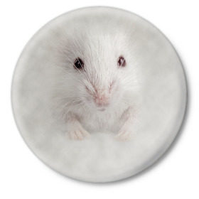 Значок с принтом Крыса в Новосибирске,  металл | круглая форма, металлическая застежка в виде булавки | Тематика изображения на принте: животные | крыса | мордочка | мышка | мышь | природа