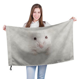 Флаг 3D с принтом Крыса в Новосибирске, 100% полиэстер | плотность ткани — 95 г/м2, размер — 67 х 109 см. Принт наносится с одной стороны | животные | крыса | мордочка | мышка | мышь | природа