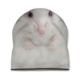 Шапка 3D с принтом Крыса в Новосибирске, 100% полиэстер | универсальный размер, печать по всей поверхности изделия | животные | крыса | мордочка | мышка | мышь | природа