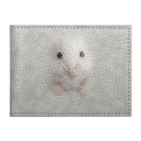 Обложка для студенческого билета с принтом Крыса в Новосибирске, натуральная кожа | Размер: 11*8 см; Печать на всей внешней стороне | Тематика изображения на принте: животные | крыса | мордочка | мышка | мышь | природа