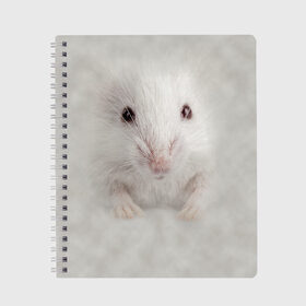 Тетрадь с принтом Крыса в Новосибирске, 100% бумага | 48 листов, плотность листов — 60 г/м2, плотность картонной обложки — 250 г/м2. Листы скреплены сбоку удобной пружинной спиралью. Уголки страниц и обложки скругленные. Цвет линий — светло-серый
 | животные | крыса | мордочка | мышка | мышь | природа