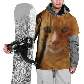 Накидка на куртку 3D с принтом Рыжий котик в Новосибирске, 100% полиэстер |  | Тематика изображения на принте: животные | кот | котенок | котик | кошка | мордочка | рыжий