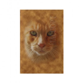 Обложка для паспорта матовая кожа с принтом Рыжий котик в Новосибирске, натуральная матовая кожа | размер 19,3 х 13,7 см; прозрачные пластиковые крепления | животные | кот | котенок | котик | кошка | мордочка | рыжий