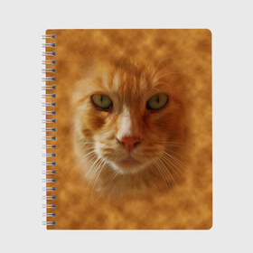 Тетрадь с принтом Рыжий котик в Новосибирске, 100% бумага | 48 листов, плотность листов — 60 г/м2, плотность картонной обложки — 250 г/м2. Листы скреплены сбоку удобной пружинной спиралью. Уголки страниц и обложки скругленные. Цвет линий — светло-серый
 | животные | кот | котенок | котик | кошка | мордочка | рыжий