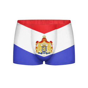 Мужские трусы 3D с принтом Флаг и герб Голландии в Новосибирске, 50% хлопок, 50% полиэстер | классическая посадка, на поясе мягкая тканевая резинка | амстердам | голландия | европа